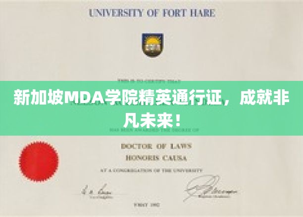 新加坡MDA学院精英护照，开启卓越人生新篇章！