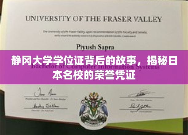 静冈大学学位证，探寻日本顶尖学府的荣誉密码