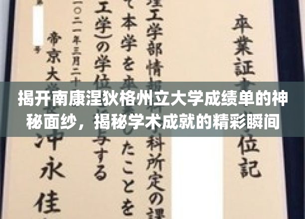 解码南康涅狄格州立大学成绩单，一窥学术辉煌瞬间