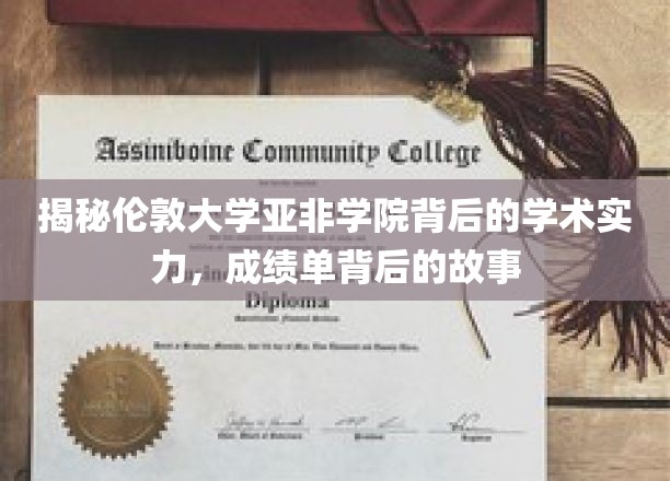 探索伦敦大学亚非学院，学术精英的摇篮与卓越成就的密码
