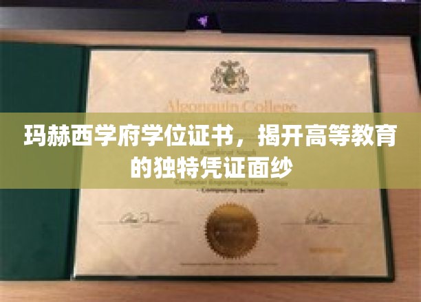 玛赫西学府证书之谜，探寻高等教育认证的非凡象征