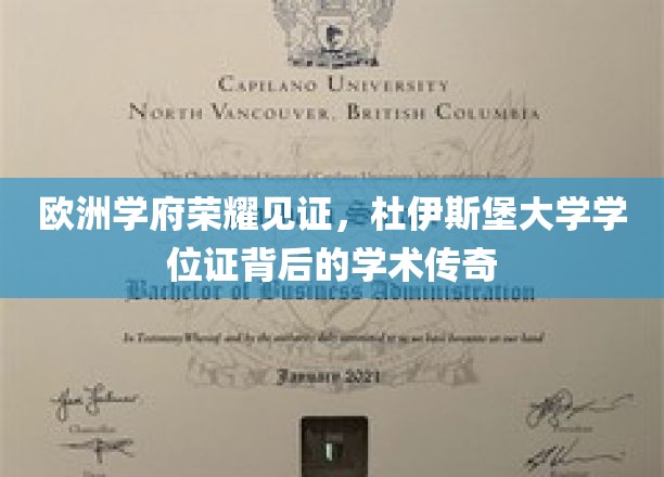 欧洲学府之光，杜伊斯堡大学学位证背后的辉煌历程