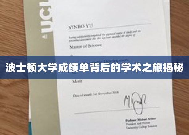 探索波士顿大学成绩单背后的学术传奇之路