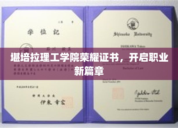 堪培拉理工学院荣耀加冕，成就职场新起航