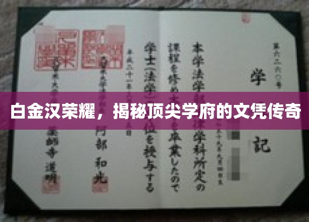 白金汉荣耀，探寻顶尖学府文凭背后的辉煌传奇