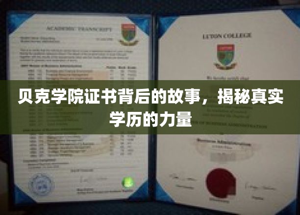 贝克学院证书，探寻学历背后的真实力量与传奇故事