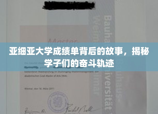 亚细亚学子奋斗足迹，揭秘成绩单背后的励志篇章