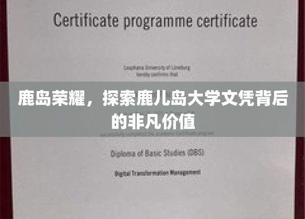 鹿岛荣耀，探索鹿儿岛大学文凭背后的非凡价值