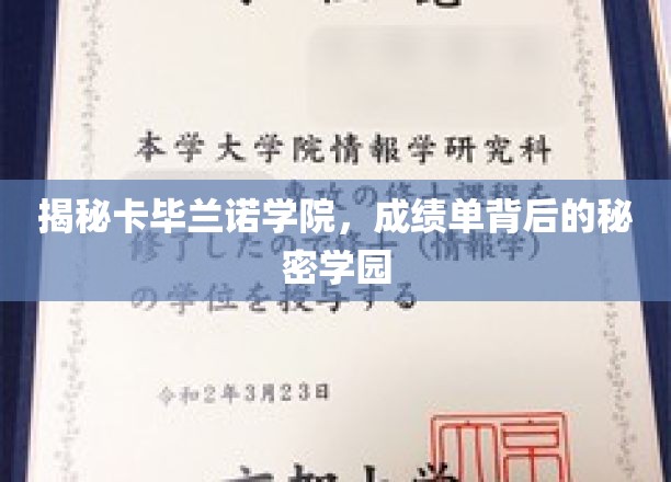 揭秘卡毕兰诺学院，成绩单背后的秘密学园
