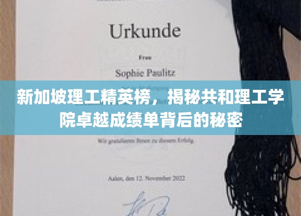 新加坡共和理工学院，揭秘学霸背后的惊人实力！
