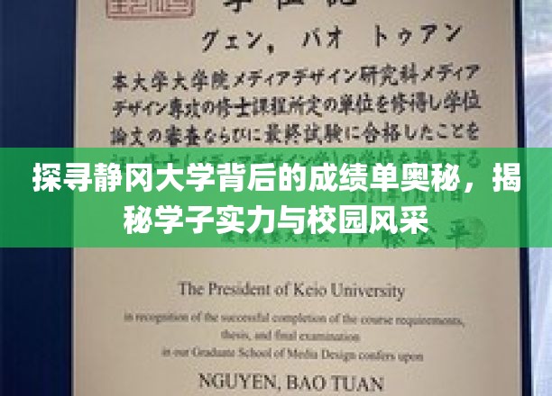 静冈大学揭秘，学霸摇篮里的实力与风采大揭秘