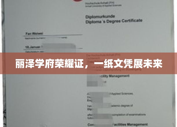 丽泽学府荣耀启航，文凭成就梦想新篇章