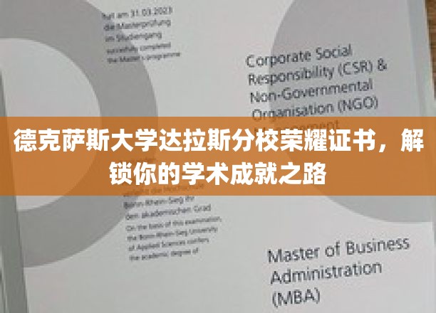 德校荣耀通行证，开启德克萨斯大学达拉斯分校学术巅峰之旅