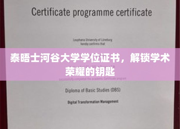 泰晤士河谷大学学位证书，开启学术荣耀之门的钥匙