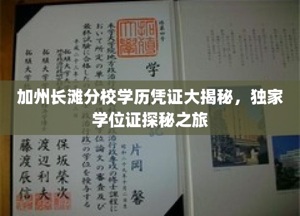 加州长滩分校学历凭证大揭秘，独家学位证探秘之旅