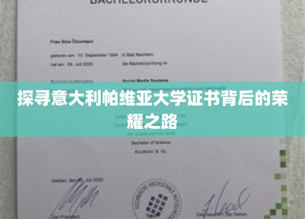 探寻意大利帕维亚大学证书背后的荣耀之路