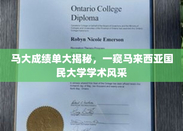 马大成绩单大揭秘，一窥马来西亚国民大学学术风采