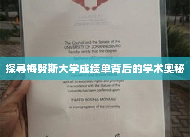 揭秘梅努斯大学成绩单背后的学术奥秘