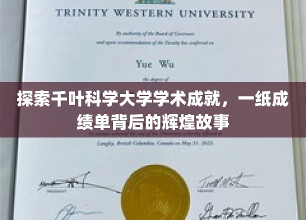 千叶科学大学，解码辉煌，一纸成绩单背后的学术传奇