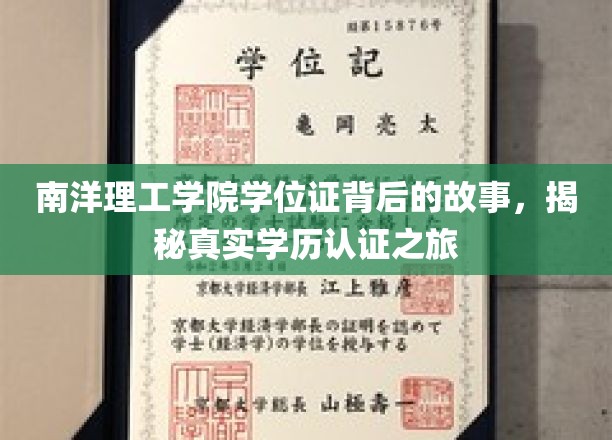 探寻南洋理工学院学位证背后的奥秘，一场学历认证的深度揭秘之旅