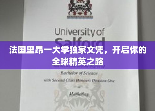 里昂大学独家文凭，助你踏上国际精英之旅