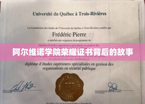 揭开阿尔维诺学院荣耀证书背后的传奇篇章
