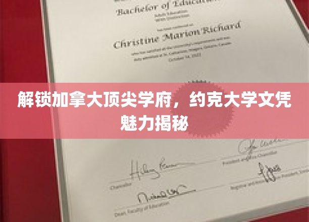 加拿大精英学府探秘，约克大学学位背后的无限潜力