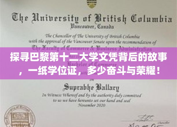 解码巴黎十二大学荣耀，一纸文凭背后的奋斗传奇