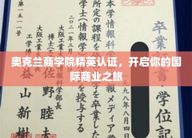 奥克兰商学院精英认证，开启你的国际商业之旅