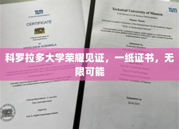 科罗拉多大学证书闪耀，开启无限未来之门