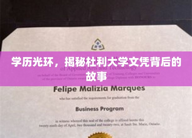 杜利大学文凭背后的真实面纱，学历光环下的不为人知故事