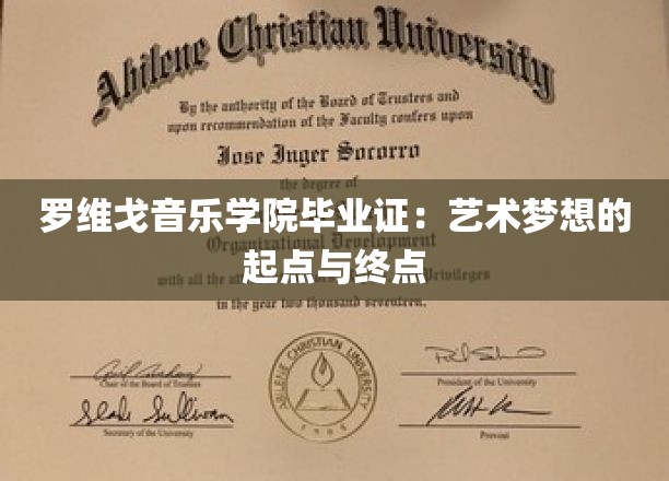 罗维戈音乐学院毕业证：艺术梦想的起点与终点