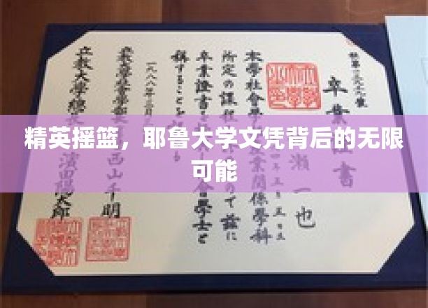 精英摇篮，耶鲁大学文凭背后的无限可能