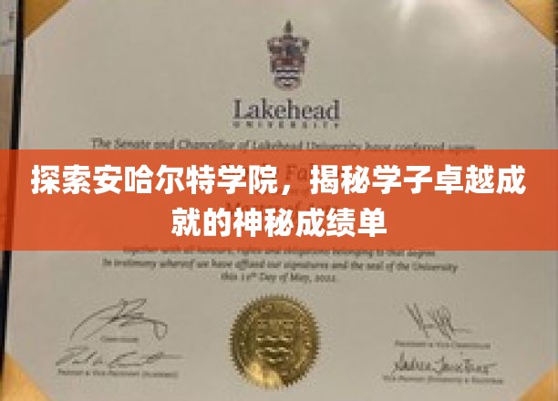 解码安哈尔特精英，揭秘学子非凡成就背后的神秘档案