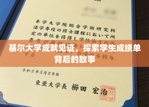 基尔大学荣耀瞬间，揭秘成绩单背后的成长轨迹