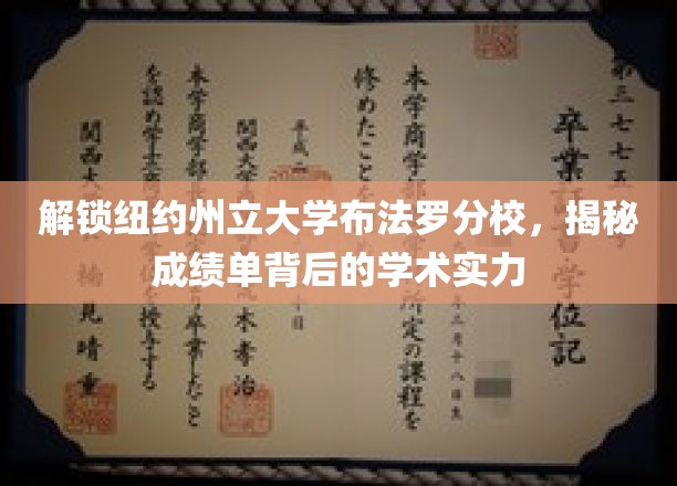 探寻纽约州立大学布法罗分校，揭秘成绩单背后的卓越学术风采