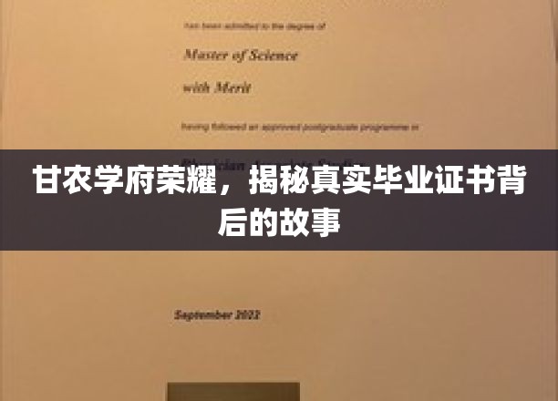 甘农荣耀深探，毕业证书背后的不凡历程