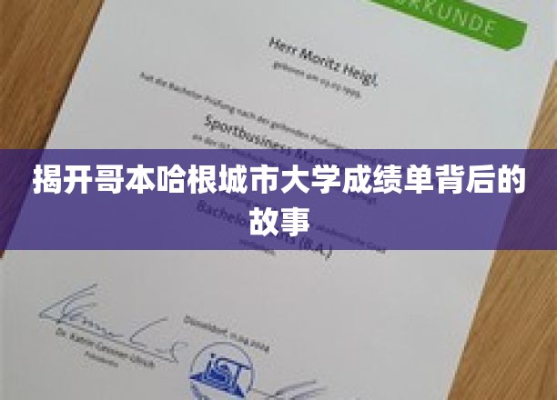 探索哥本哈根城市大学成绩单背后的故事