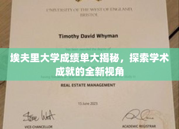 埃夫里大学成绩单大揭秘，探索学术成就的全新视角