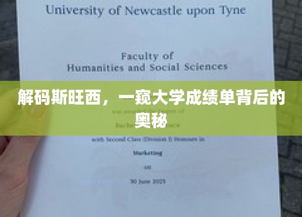 揭开斯旺西大学成绩单的神秘面纱