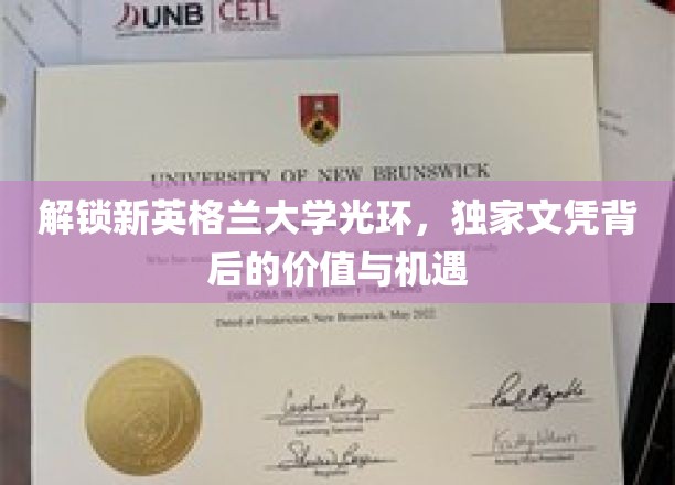 解锁新英格兰大学光环，独家文凭背后的价值与机遇