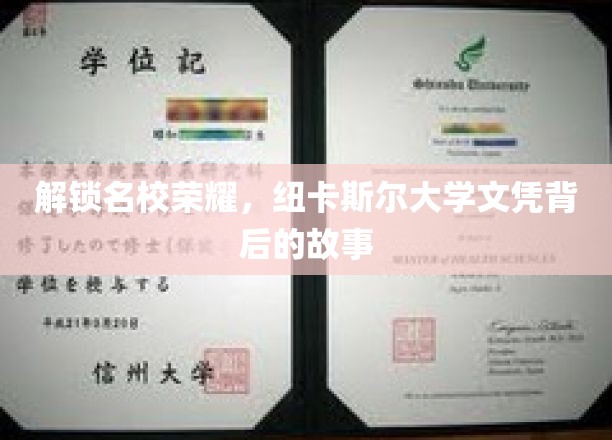 探寻纽卡斯尔大学卓越背后的辉煌之路