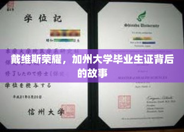 戴维斯荣耀，加州大学毕业生证背后的故事