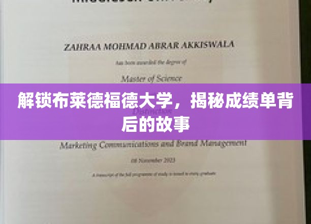 解锁布莱德福德大学，探寻成绩单背后的故事