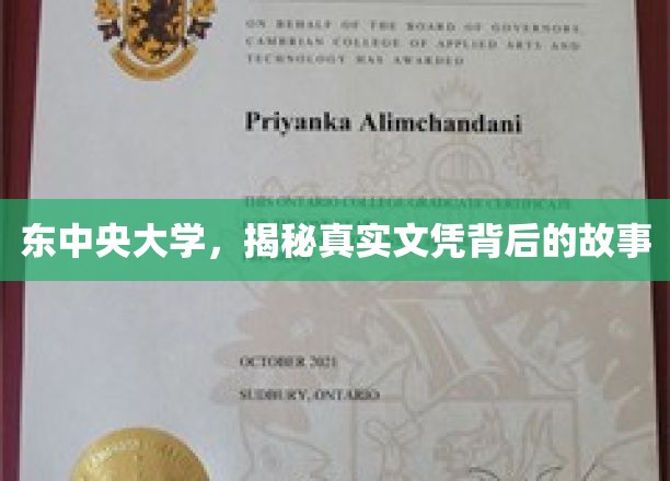 东中央大学文凭之谜，探寻真实学历背后的传奇故事