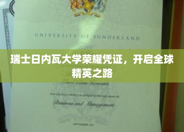 瑞士日内瓦大学荣耀凭证，开启全球精英之路