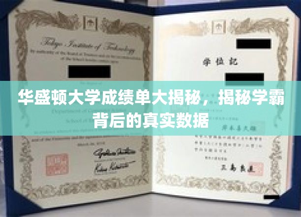 华盛顿学霸秘籍，揭开顶尖学府成绩单背后的惊人真相