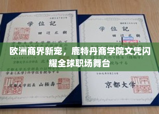 跨国职场新贵，鹿特丹商学院学历成为全球竞争利器