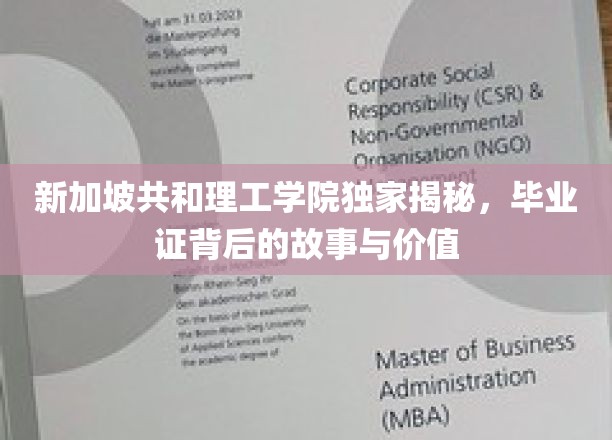 解码新加坡共和理工学院，毕业证书背后的非凡价值与传奇故事