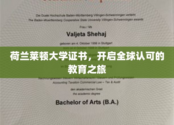 荷兰莱顿大学证书，开启全球认可的教育之旅